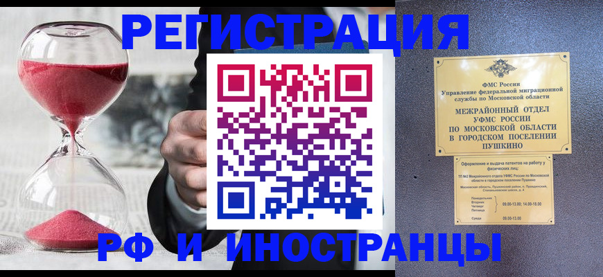 прописка законно в Сольцах